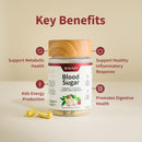 snap-supplements-blood-sugar-blend-coq10-cinnamon-alpha-lipoic-acid-and-gymnema-sugar-free-60-capsules-2-pack-3