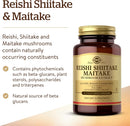solgar-multi-mushroom-complex-50-vegetable-capsule-3.jpg