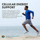 source-naturals-mens-life-force-multiple-daily-mul-5.jpg