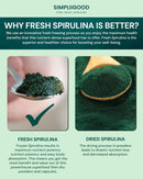 spirulina-cubes---high-protein-vitamin-rich-superf-4.jpg