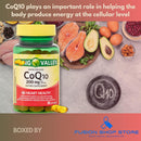 spring-valley-coq10-200mg--rapid-release-30-softge-2.jpg