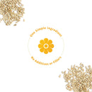 sprout-living-simple-sunflower-seed-protein-powder-7.jpg