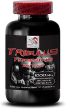 stamina-support-formula---tribulus-terrestris-extr-2.jpg
