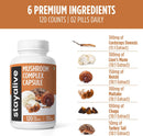 stay-alive-mushroom-complex-1000mg-6-in-1-mushroom-3.jpg