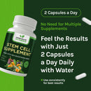 stem-cell-supplement---organic-tibetan-sea-buckthorn-resveratrol-vitamin-d-bishops-hat-extract-1-bottle-60-count-2