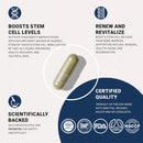 stemxr-stem-cell-activator-circulation-booster-stem-cell-supplement-for-men-women-blue-green-algae-longevity-vitality-anti-aging-energy-performance-support-90-capsules-2
