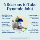 stonehenge-health-dynamic-joint-dynamic-nerve-bund-3.jpg