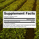 stress-relax-pharma-gaba-100-mg-by-natural-factors-2.jpg