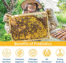 superdfm-honeybee-probiotic-supplement-for-honey-b-3.jpg
