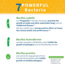 superdfm-honeybee-probiotic-supplement-for-honey-b-7.jpg