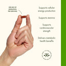 swanson-maximum-strength-ubiquinol-200-milligrams--4.jpg