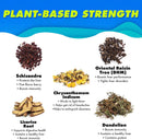 the-plug-cleanse-detox-drink-48-pack---all-natural-5.jpg