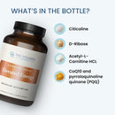 the-wellness-company-elevated-energy-120-capsules--4.jpg