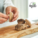 tojongherb-shitake-mushroom-powder-246oz-all-natur-5.jpg