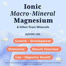 trace-minerals-for-kids-trace-mineral-drops-concentrated-electrolytes-with-ionic-magnesium-hydration-muscle-function-and-electrolyte-support-2oz-unflavored-liquid-2