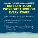 true-grace-electromag---grapefruit-16-stick-packs--5.jpg