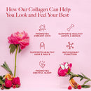 truvani-hydrolyzed-collagen-peptides-unflavored-14-3.jpg