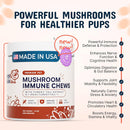 turkey-tail-mushroom-for-dogs---organic-81-extract-2.jpg