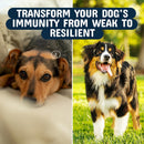 turkey-tail-mushroom-for-dogs---organic-81-extract-5.jpg