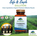 turmeric-capsules-with-black-pepper-extract-60-kos-3.jpg