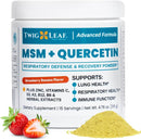twig-leaf-msm-quercetin-powder-with-vitamin-c-zinc-1.jpg