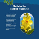 usda-organic-mullein-drops-for-lungs---herbal-lung-3.jpg