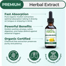 usda-organic-mullein-drops-for-lungs---leaf-extrac-2.jpg