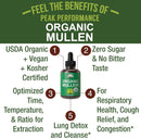 usda-organic-mullein-leaf-drops-for-lungs-respirat-2.jpg