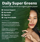usda-organic-super-greens-supplement---organic-greens-fruits-and-vegetable-supplement-for-adults-with-28-superfood-complex-with-superfruits-roots-herbs-more---vegan-non-gmo-up-to-2-month-supply-2