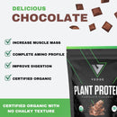 vedge-certified-organic-plant-protein-chocolate-fl-5.jpg