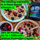 vegan-brain-body-boost-the-cherry-on-top-of-a-plan-2.jpg
