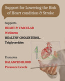 vision-max-eye-care-supplement---advanced-vision-v-8.jpg