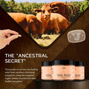 vital-belle-grass-fed-beef-organ-supplement-for-wo-2.jpg