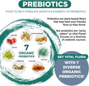 vital-planet---vital-flora-mens-daily-probiotic-60-billion-cfu-60-diverse-strains-7-organic-prebiotics-immune-support-gas-relief-digestive-health-shelf-stable-probiotics-for-men-60-capsules-3