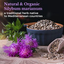 vitalitown-organic-milk-thistle-antioxidant-suppor-5.jpg