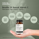vitamin-c-500mg-supplement-for-immune-support---fr-3.jpg