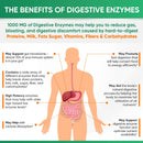 wholesome-wellness-digestive-enzymes-1000mg-plus-p-5.jpg