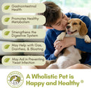 wholistic-pet-organics-organic-dog-probiotics-and--3.jpg