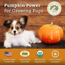 wholistic-pet-organics-puppy-essentials---1-lb---o-6.jpg