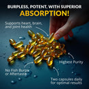 wild-foods-fish-oil-omega-3-supplements-1600-mg-highly-potent-dpa-dha-epa-burpless-odorless-non-gmo-gluten-free-for-brain-heart-health-joint-support-60-capsules-1-pk-30-servings-2