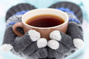 wild-foods-wild-mushroom-blend-supercharged-reishi-7.jpg
