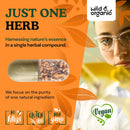 wild-organic-cordyceps-mushroom-capsules---60-coun-5.jpg