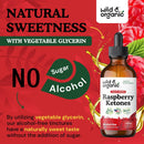 wild-organic-raspberry-ketones-liquid-drops---vegan-raspberry-ketones-supplement-for-overall-well-being---5-month-supply---non-gmo-no-alcohol-sugar---4-fl-oz-4