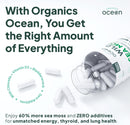 wild-sea-moss-capsules---100-organic-irish-sea-mos-3.jpg