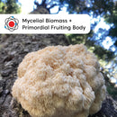 wilderness-poets-organic-lions-mane-mushroom-powde-3.jpg