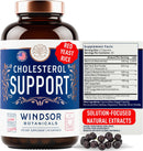 windsor-botanicals-blood-pressure-and-cholesterol--6.jpg