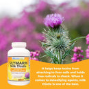 wonder-labs-silymarin-milk-thistle-supports-health-6.jpg