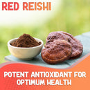 xprs-nutra-fungi-fusion-organic-mushroom-powder-bl-5.jpg