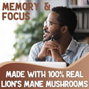 xprs-nutra-organic-lions-mane-supplement-capsules---360-count-180-day-supply-of-premium-lions-mane-mushroom-capsules-for-mental-clarity-cognition-and-immunity-lions-mane-powder-capsules-4