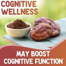 xprs-nutra-organic-red-reishi-mushroom-powder---pr-3.jpg